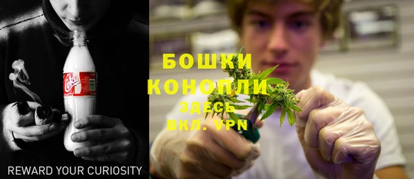 спайс Аркадак