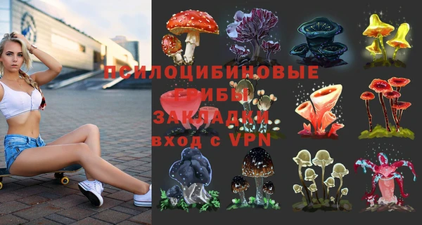 спайс Аркадак
