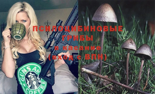 спайс Аркадак