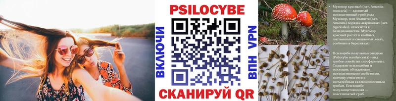Псилоцибиновые грибы прущие грибы  Балей 